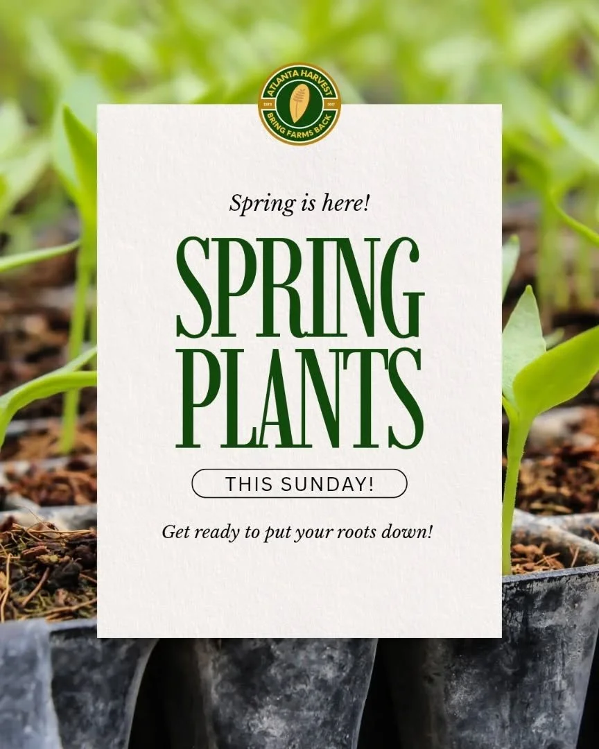 If you&rsquo;ve been thinking about planting&hellip; this is your sign 🌿

We&rsquo;ve got plants available now, but Sunday is when it really opens up. More variety, more to choose from, more to build your garden right.

Come early, take your time, p