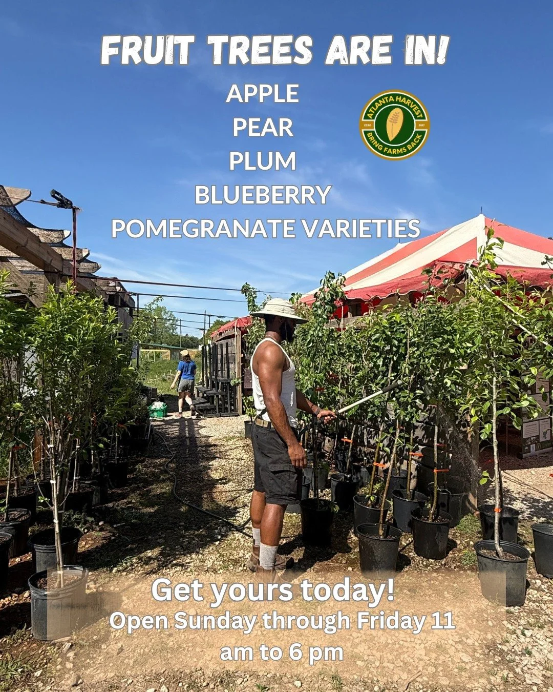 Fruit trees are in!!

Apple
Pear
Plum
Blueberry
Pomegranate varieties now available

If you&rsquo;ve been thinking about planting&hellip; this is the moment. Start now, and you&rsquo;ll be harvesting from your own yard before you know it.

Come by an