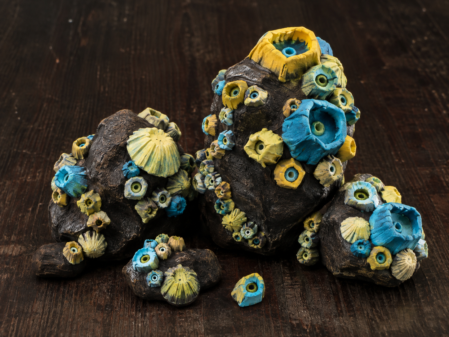 Barnacle encrusted rocks.