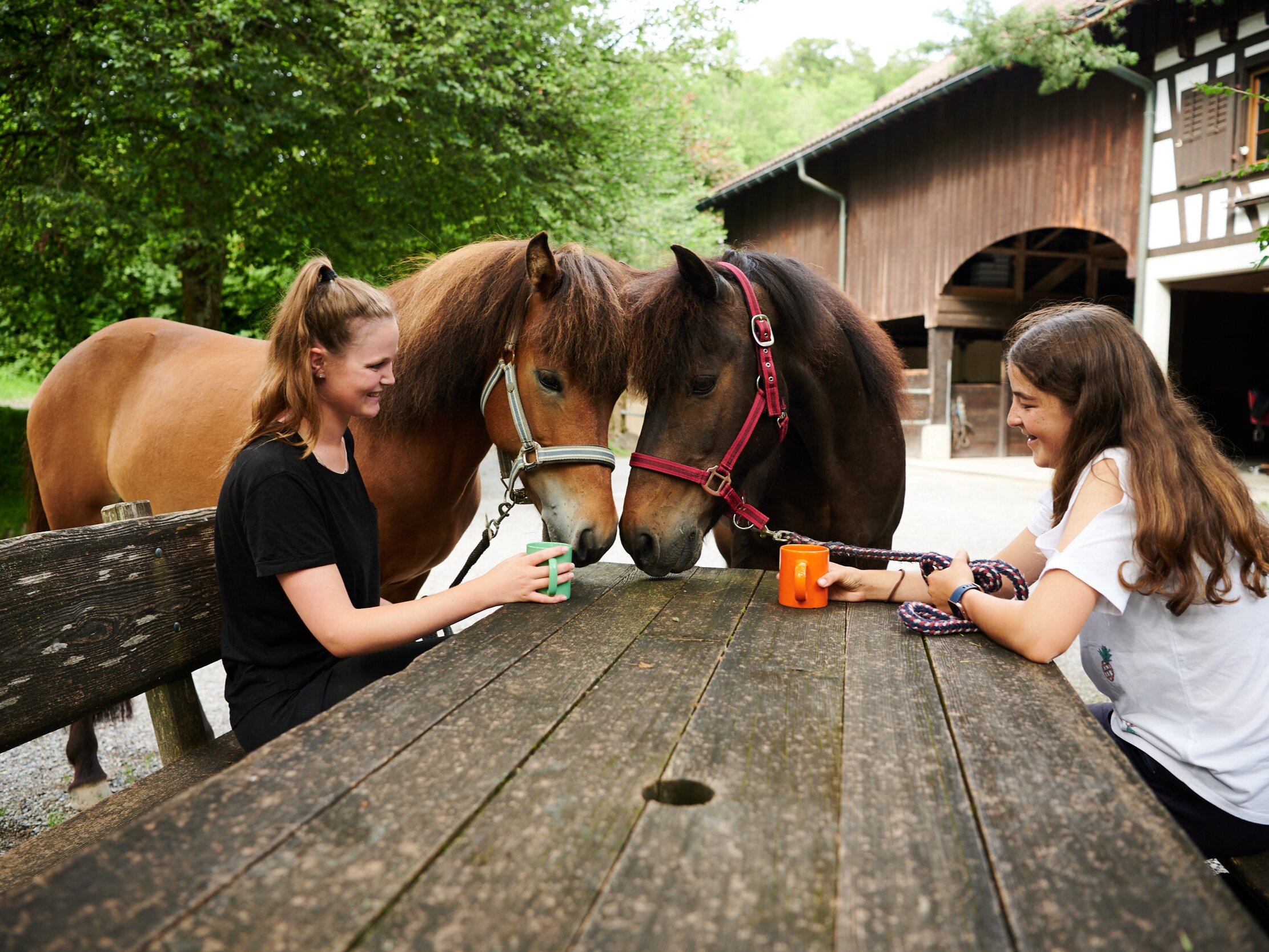 Zwei unserer Reitbeteiligungen
