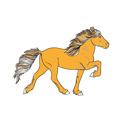 Art. Nr. 2.png