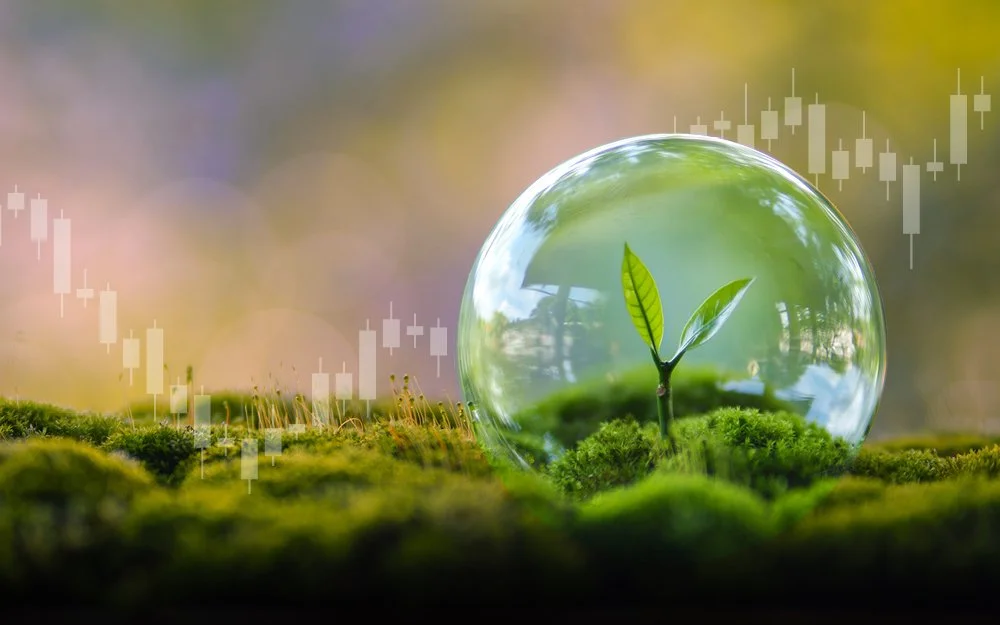 Protect and grow wealth in uncertain times