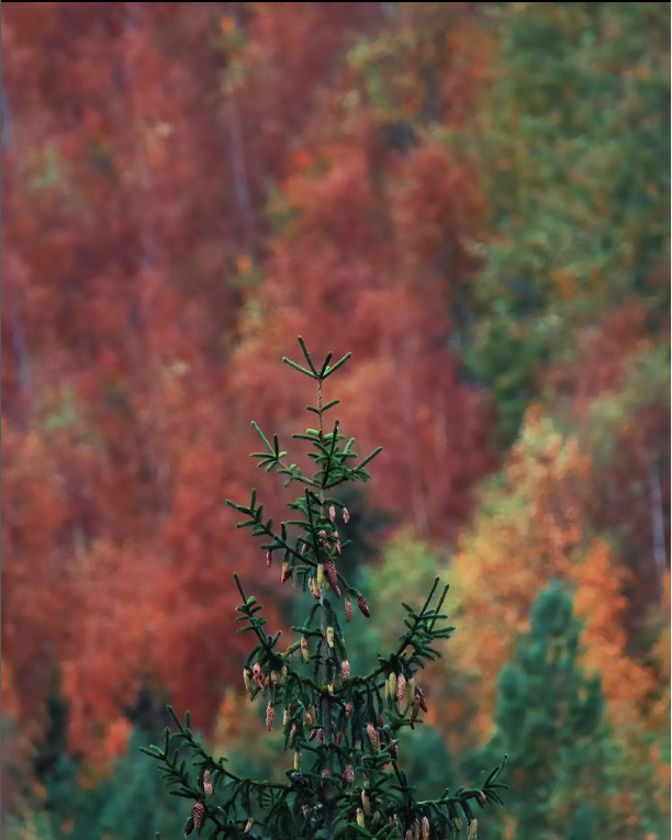 Capture d’écran 2023-02-22 105436.png