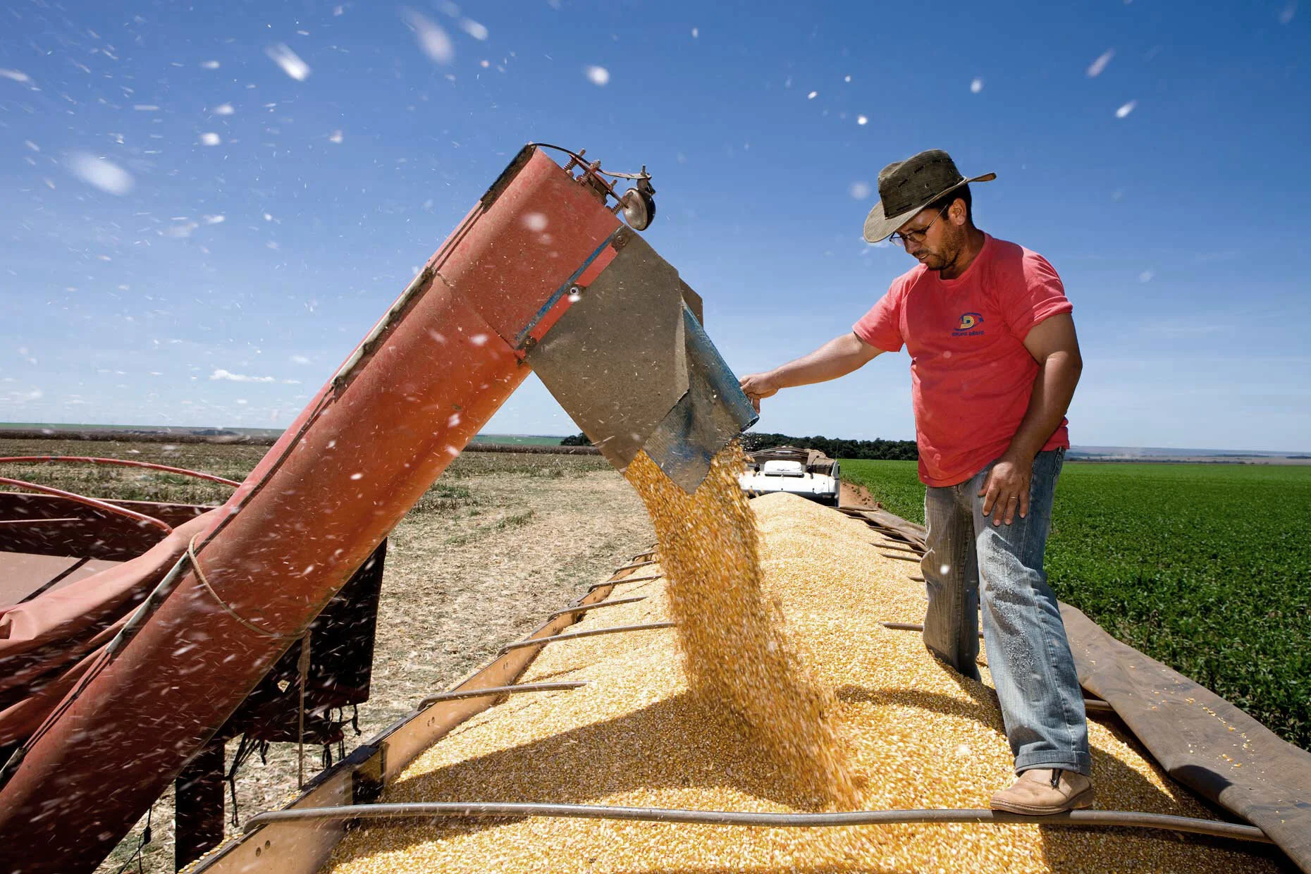 Farmer pouring harvested corn from a large red grain auger onto a pile in a field under a clear blue sky.