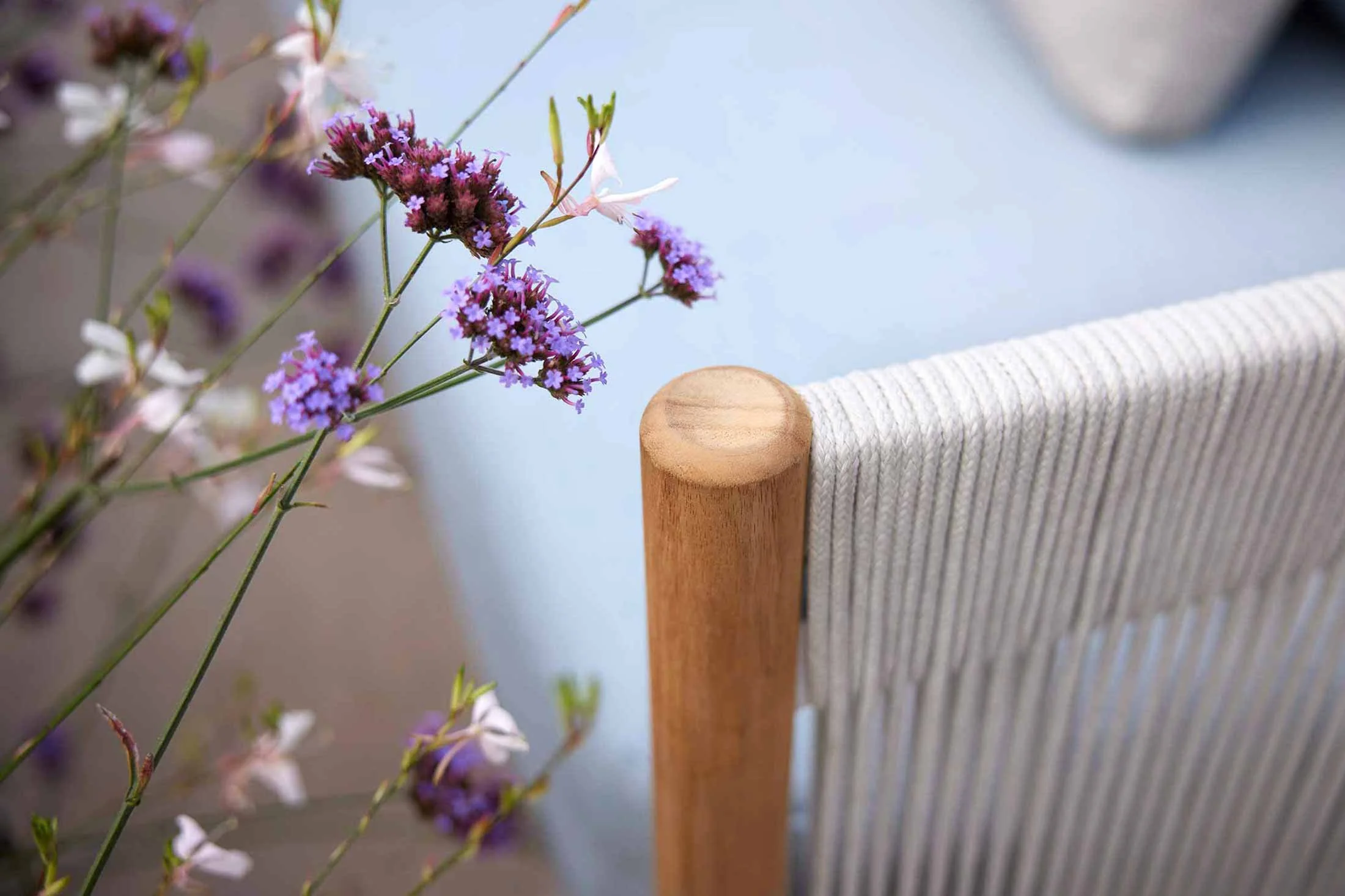 Close-up of purple flowers next to a wooden chair with white rope detail on a blue surface.