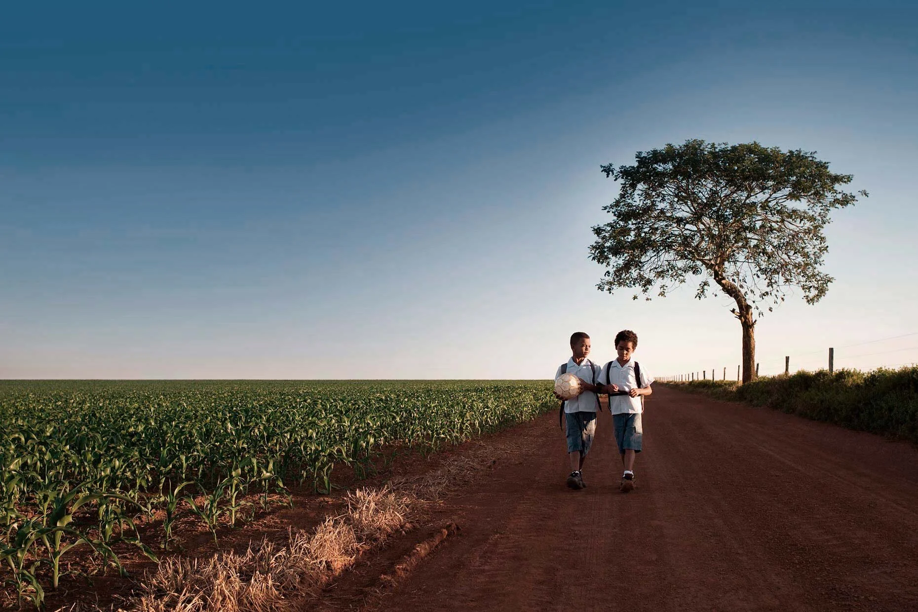 Children walking through a rural field in Brazil on their way to school, capturing everyday life and access to education in the countryside.