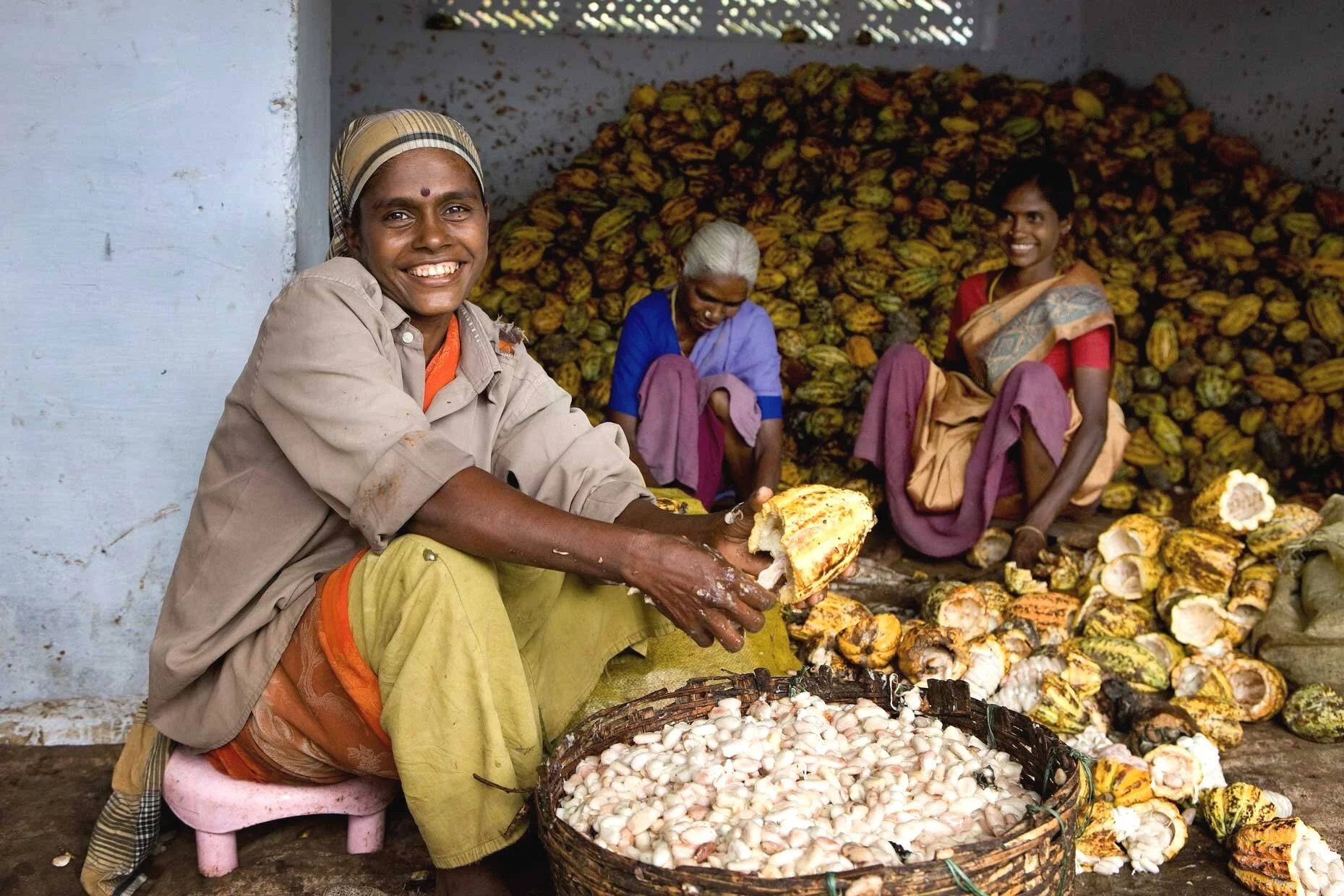 A farm worker in Africa holding freshly harvested coffee pods, highlighting agricultural labor and the origins of coffee production.