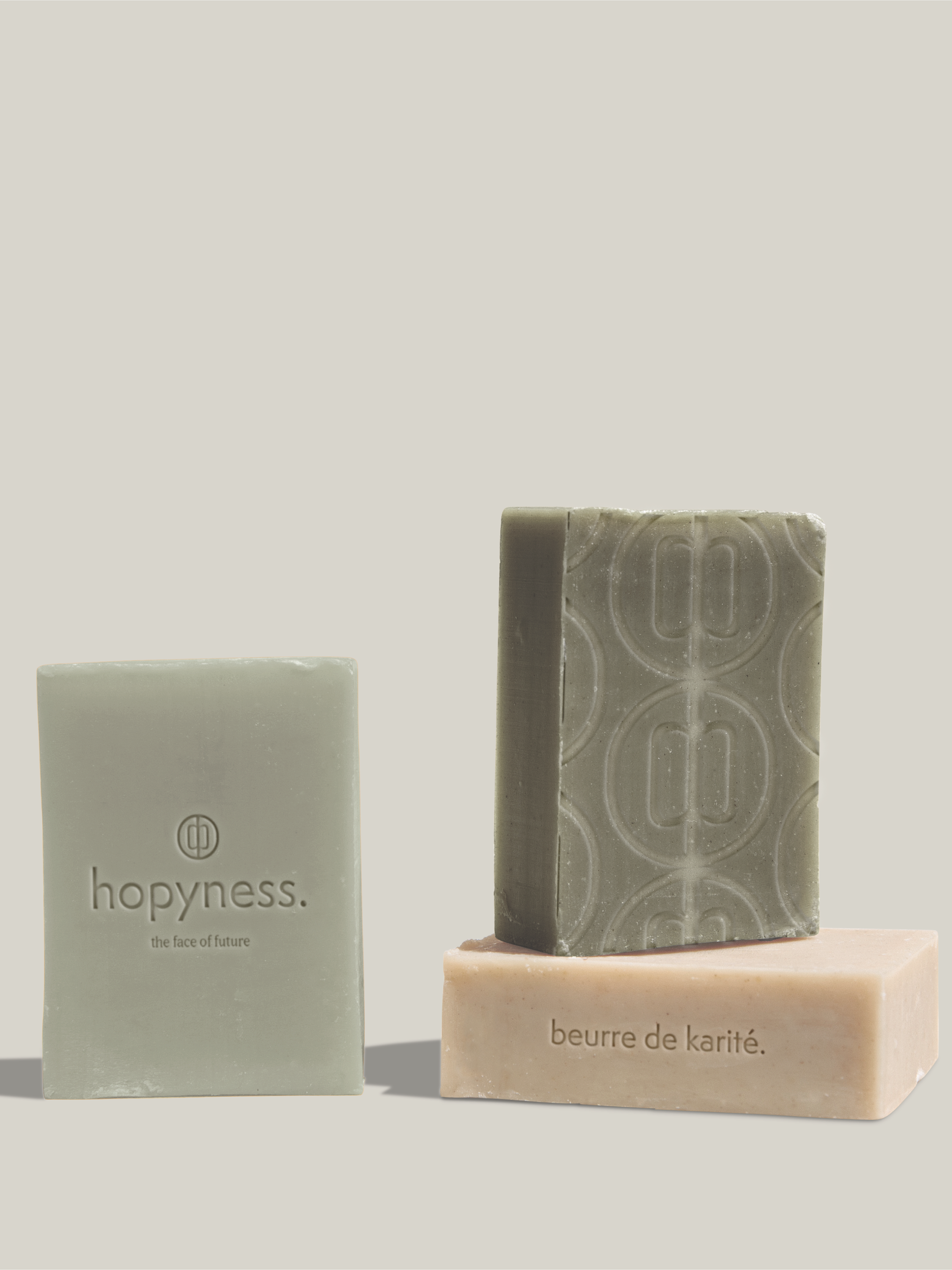 hopy pour envol .png