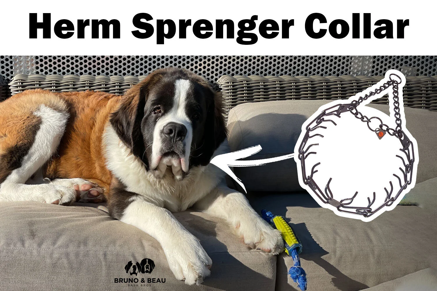 furminator st bernard