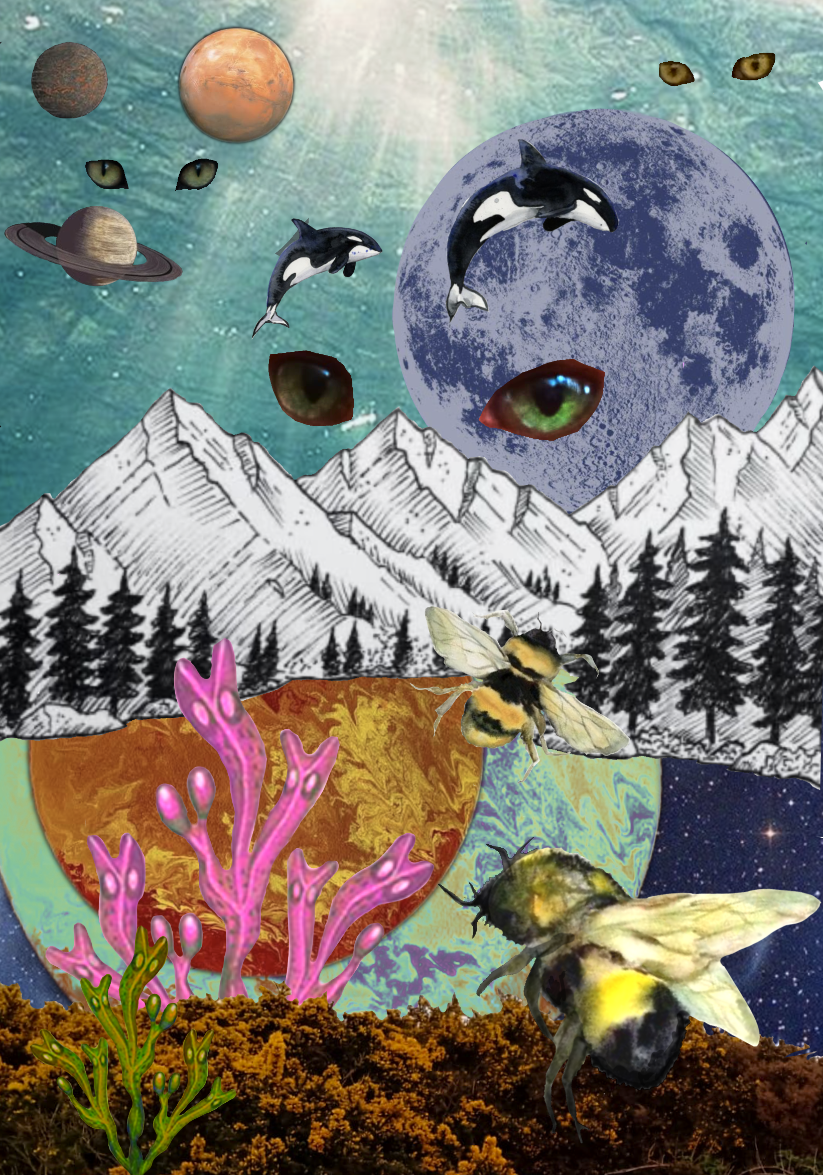 Untitled_Artwork 23.png