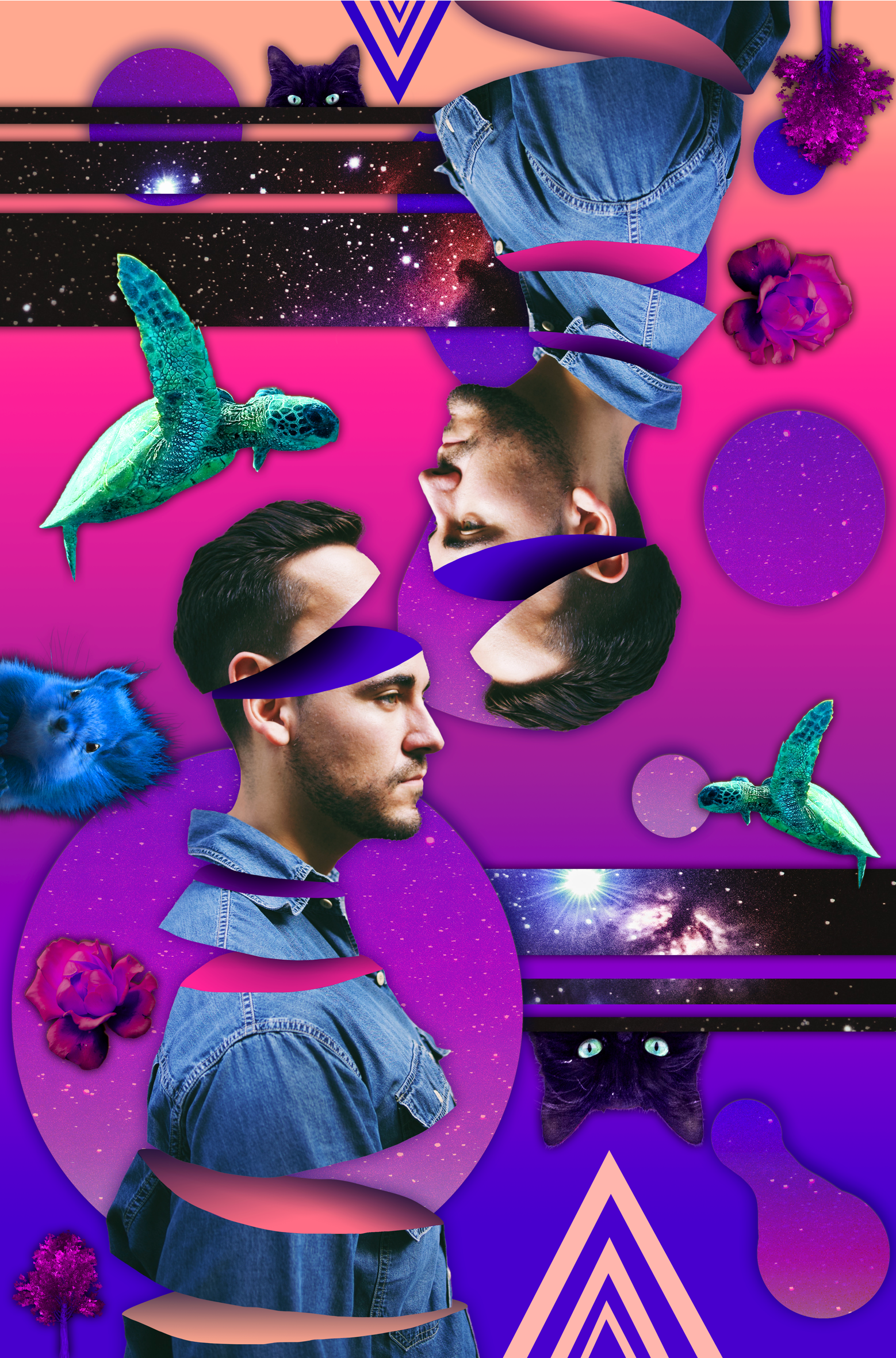 Untitled_Artwork 2.png