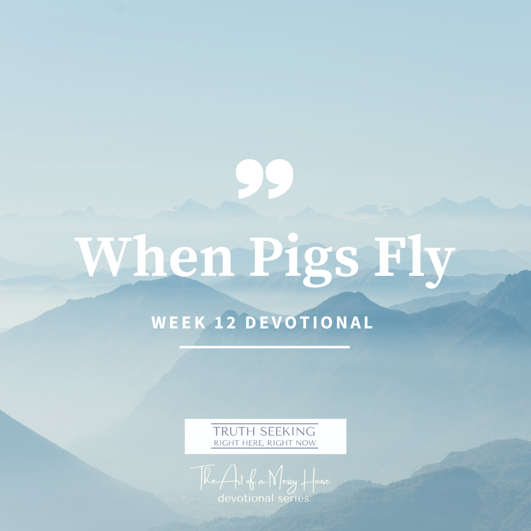 WHEN PIGS FLY