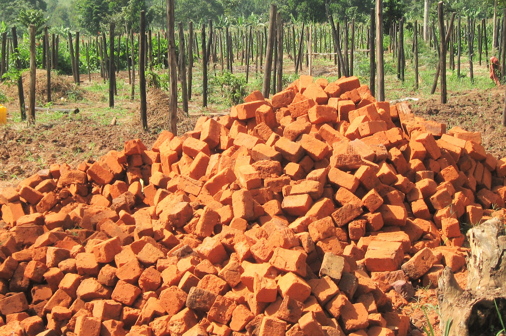 coop_bricks.jpeg