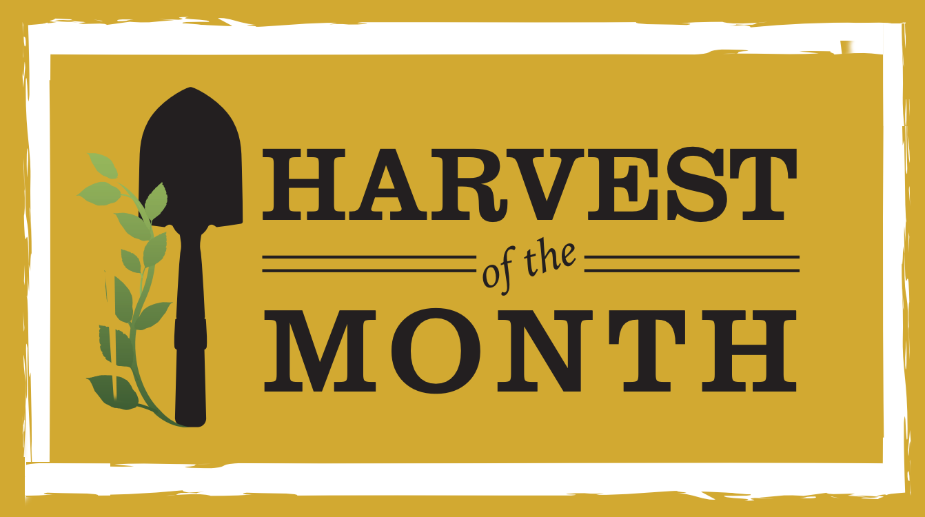 HarvestOfTheMonth.png