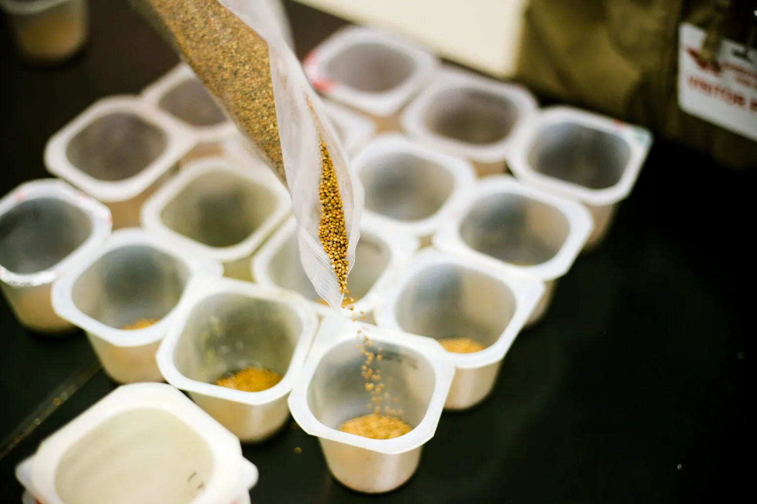 The Basics of Starting a Garden