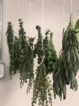 Drying and Keeping Herbs