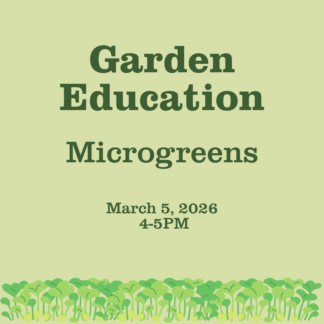 Garden Education: Microgreens