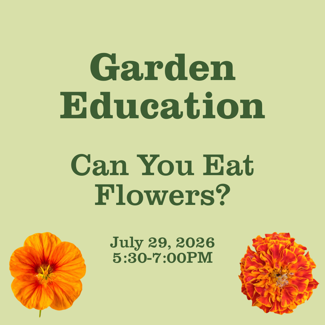Garden Education: Can You Eat Flowers?