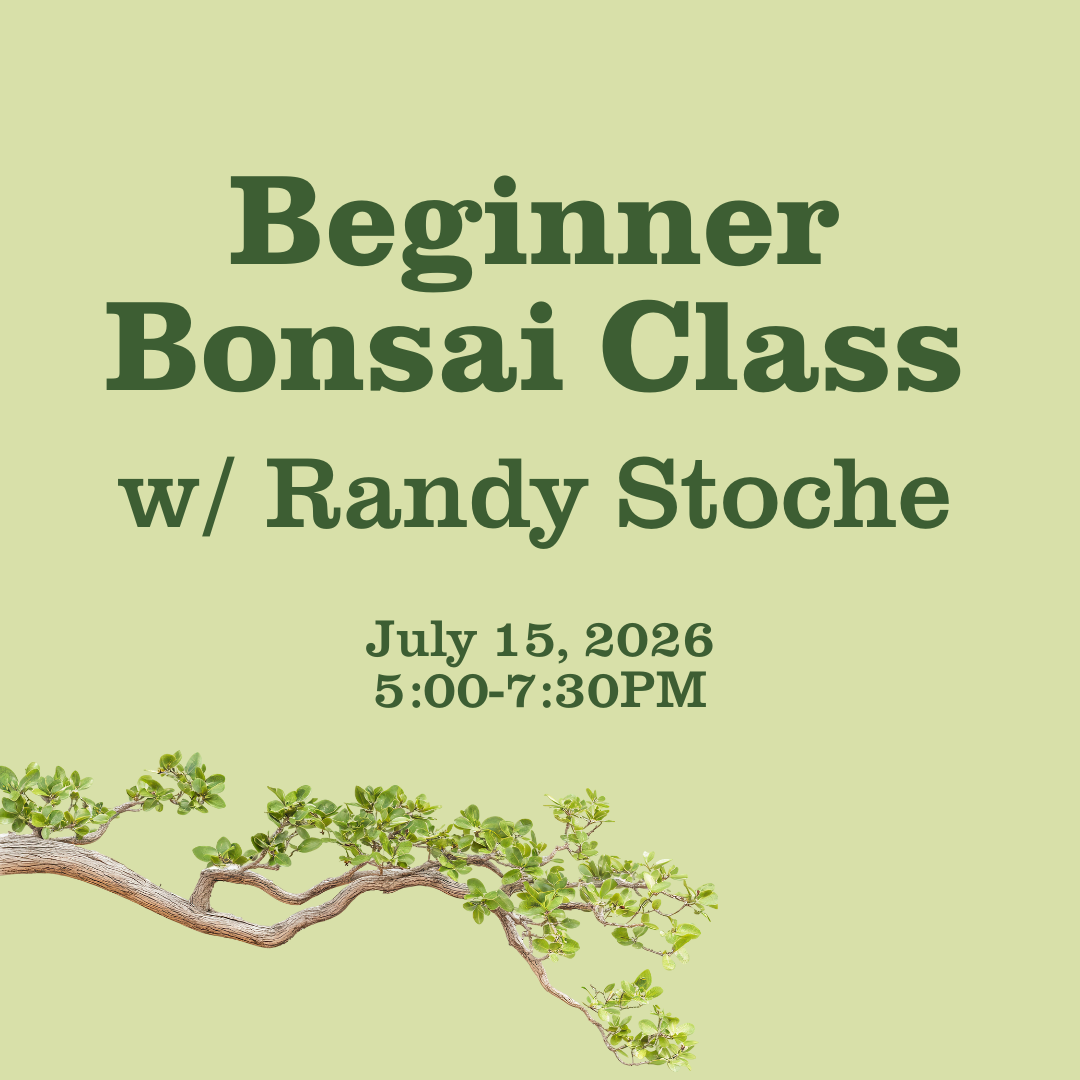 Beginner Bonsai Class