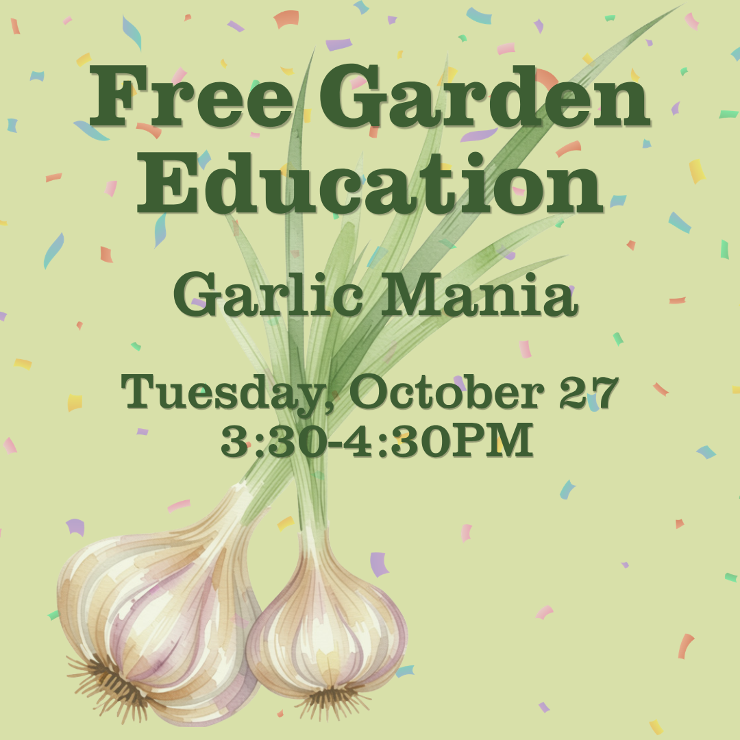 FREE Garden Education: Garlic Mania