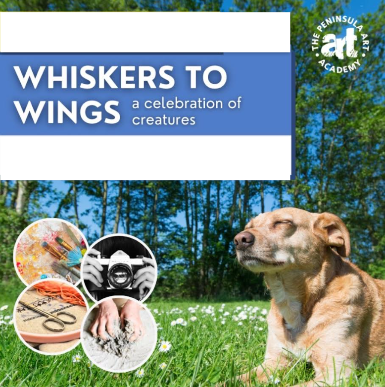 Whiskers to Wings