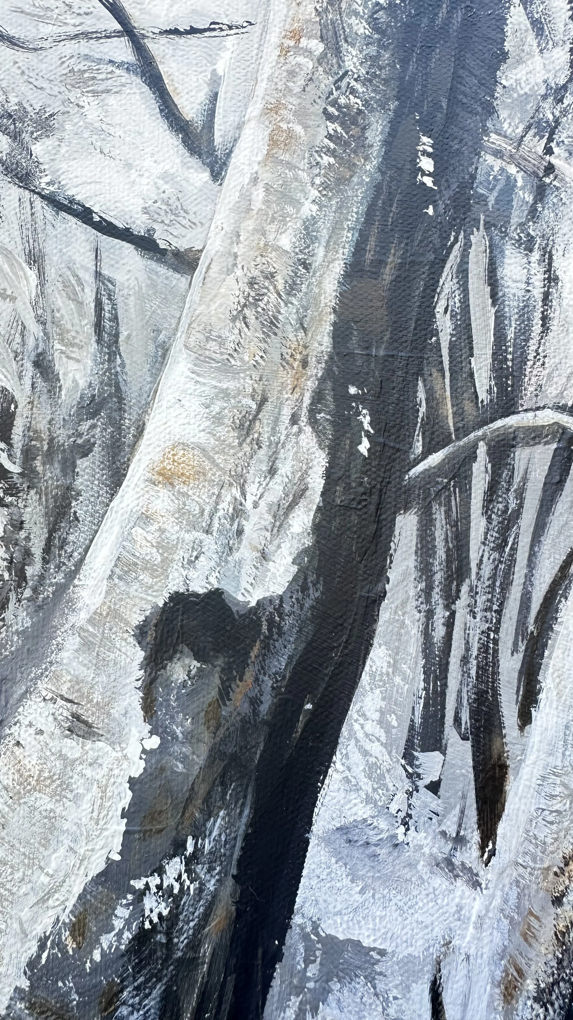 Winters Breath B.jpeg