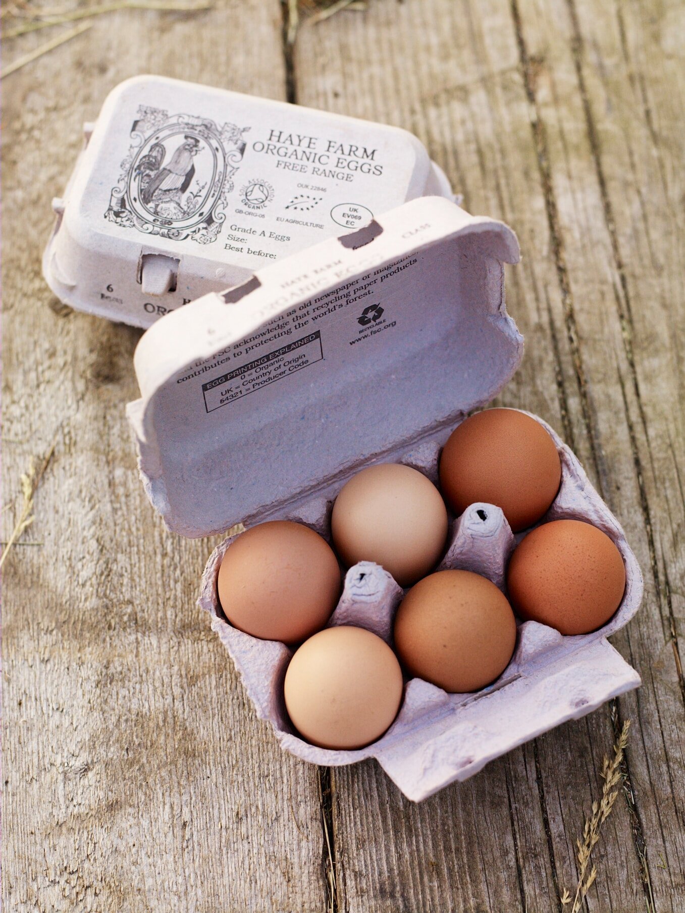eggs3.jpeg