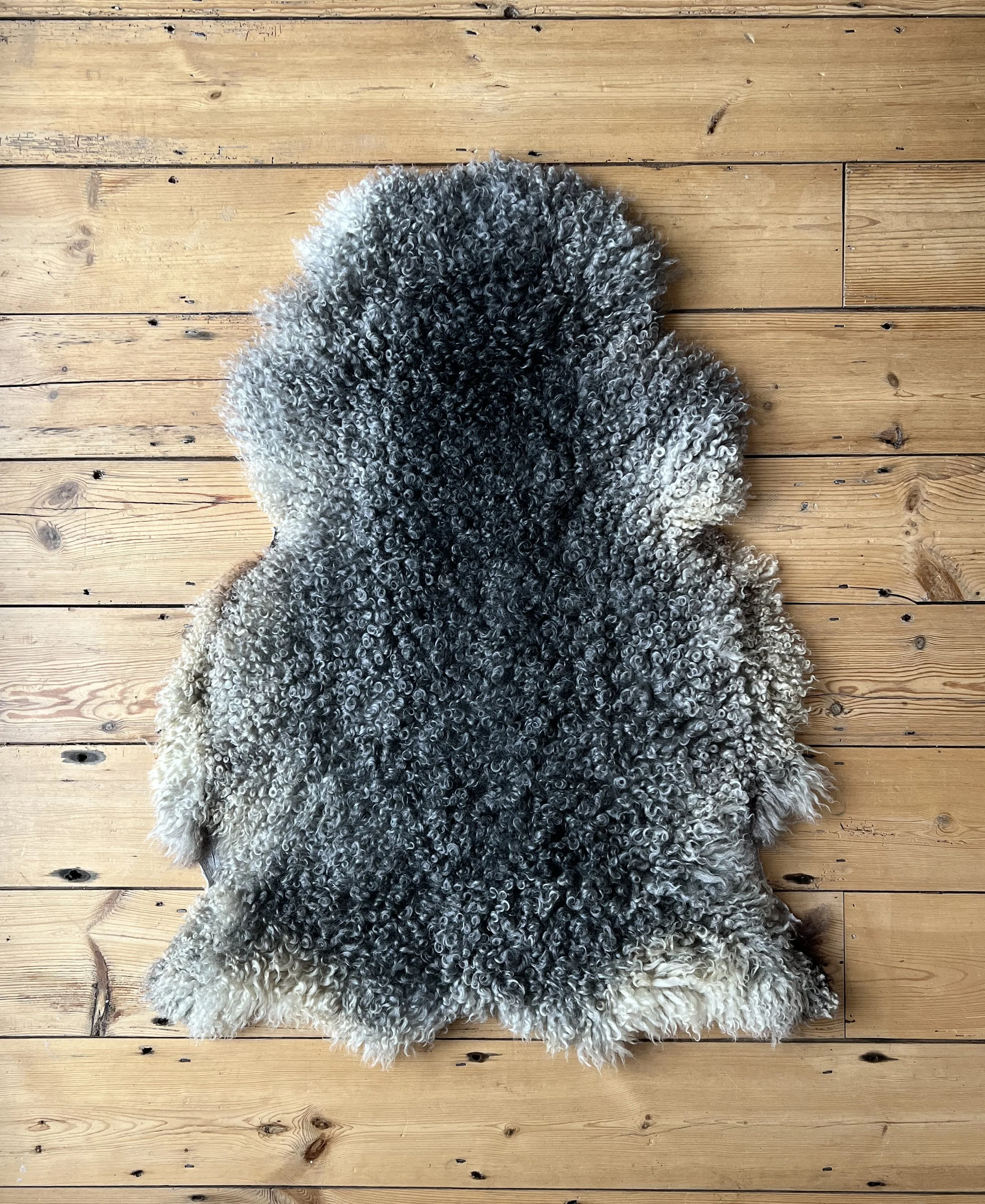 Sheepskin5.jpg
