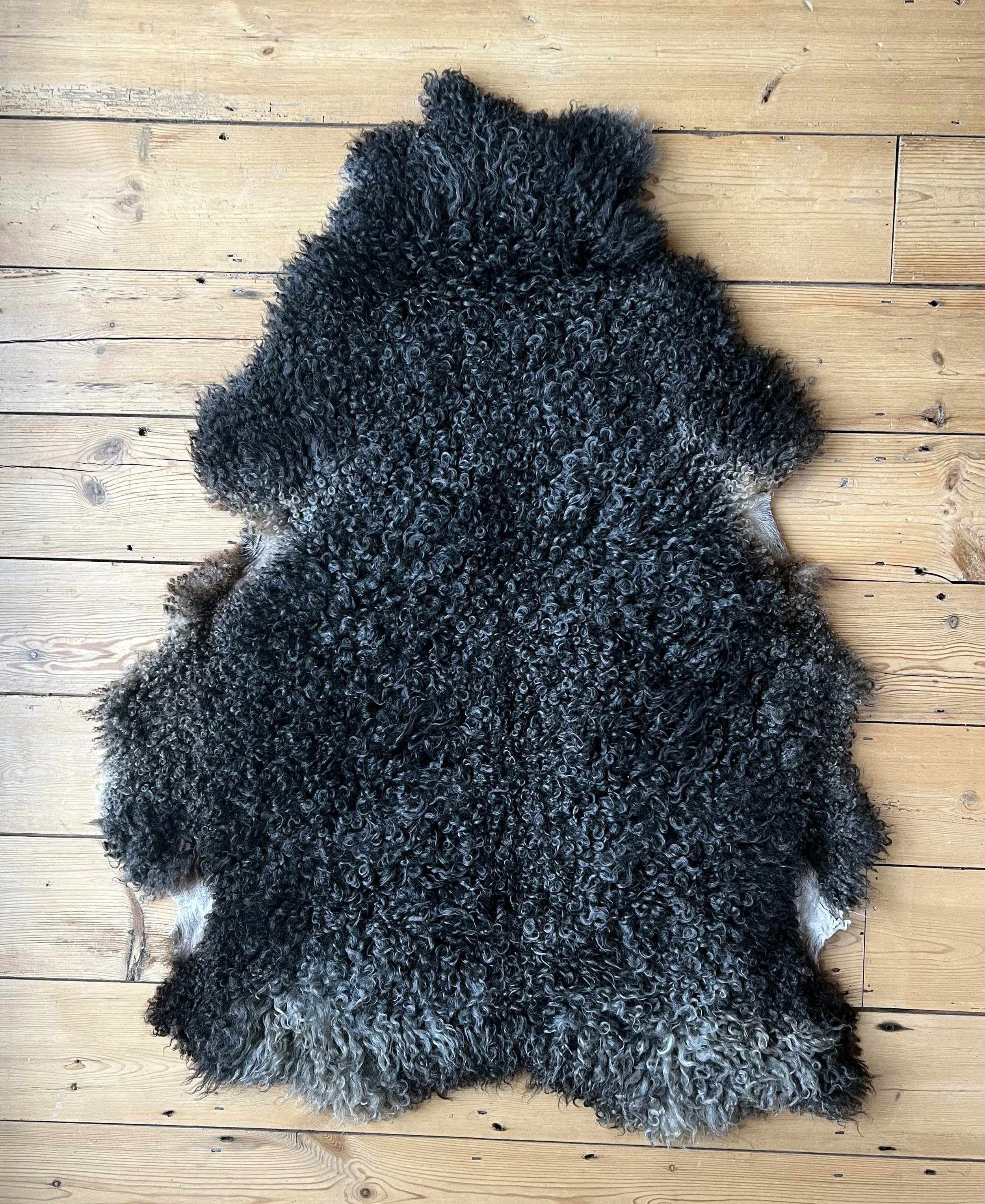 Sheepskin1.jpg