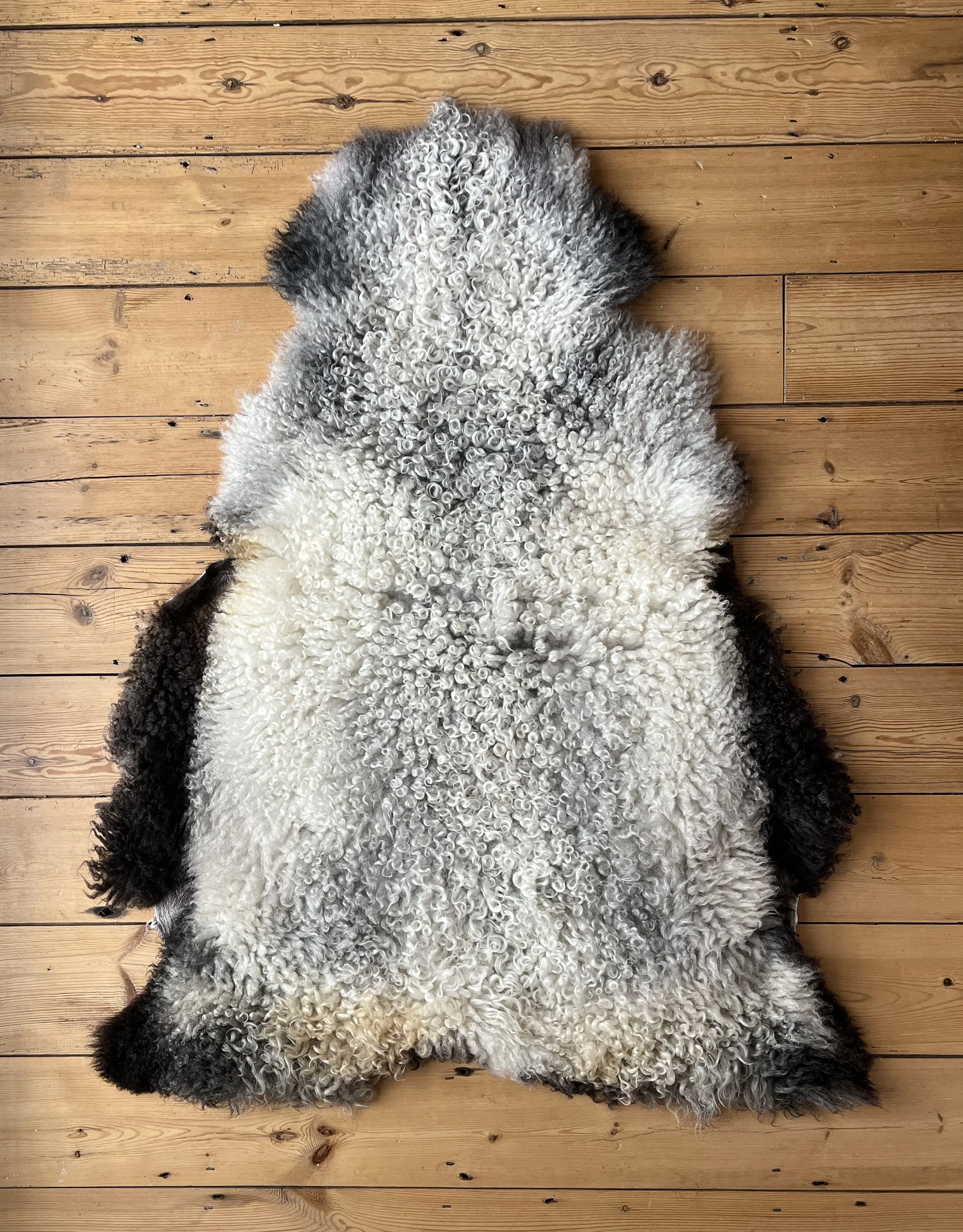 Sheepskin2.jpg