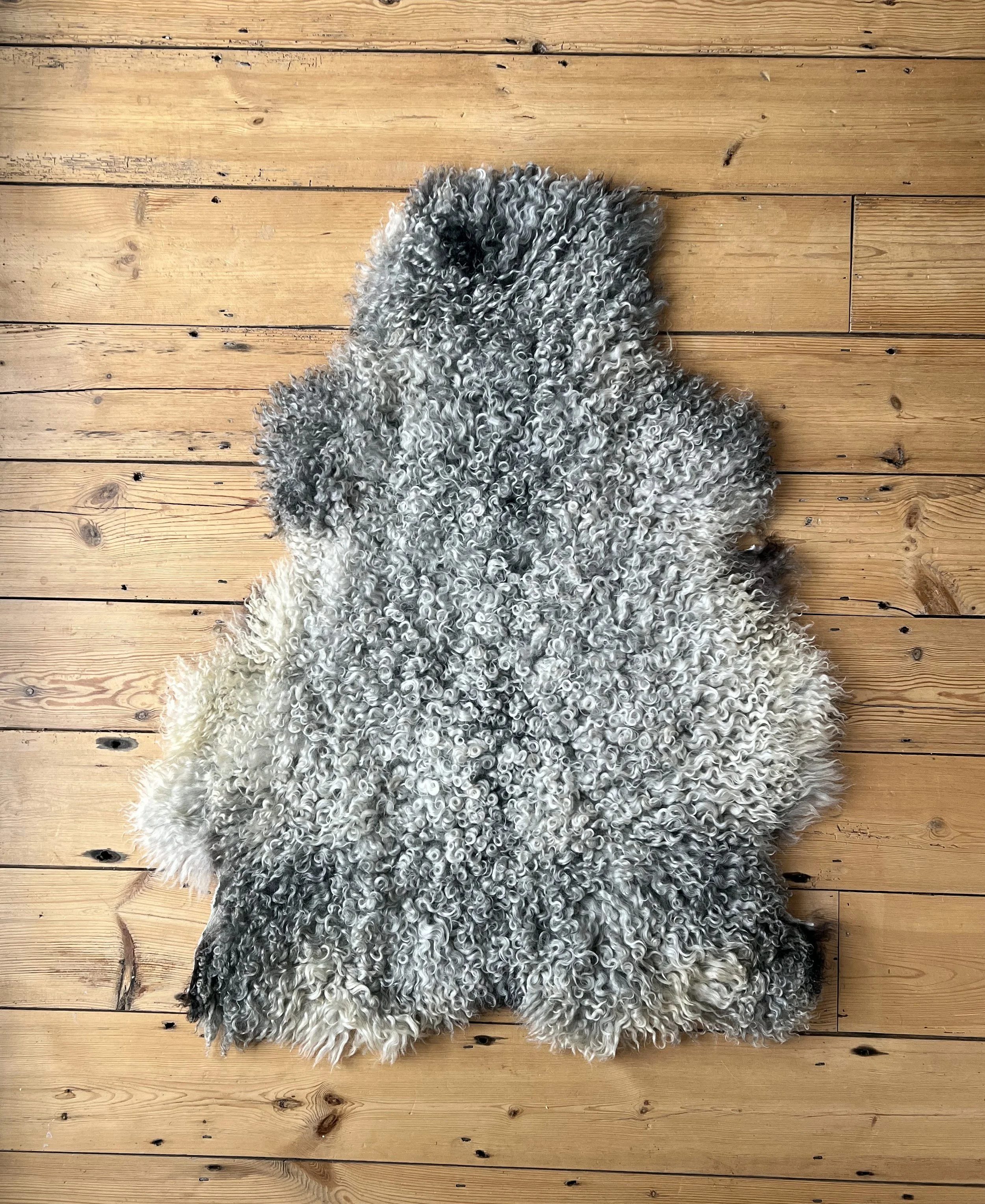 Sheepskin8.jpg