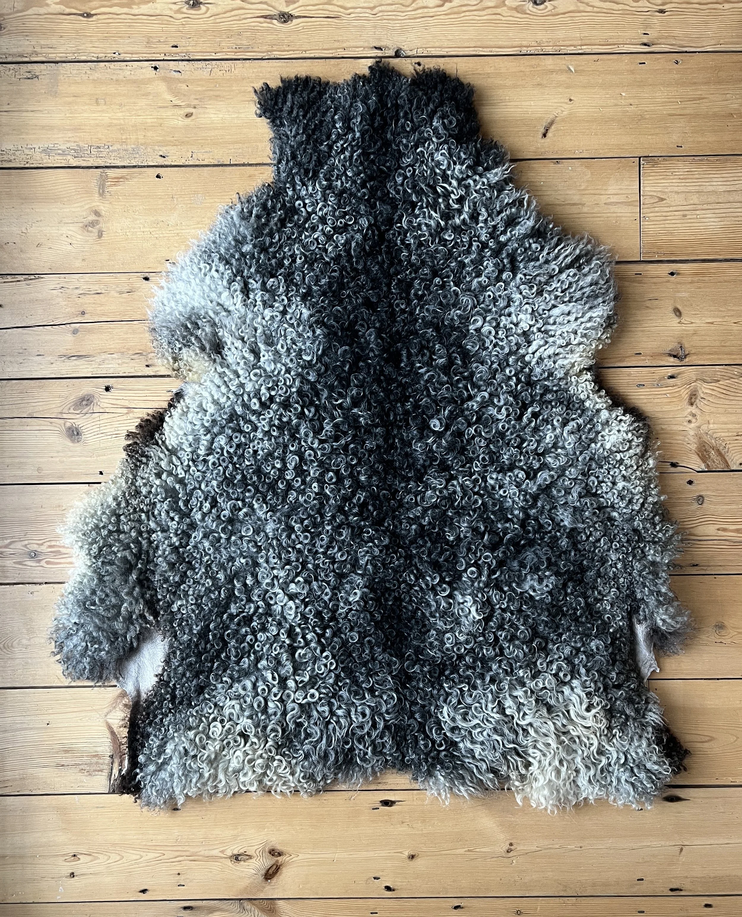 Sheepskin3.jpg