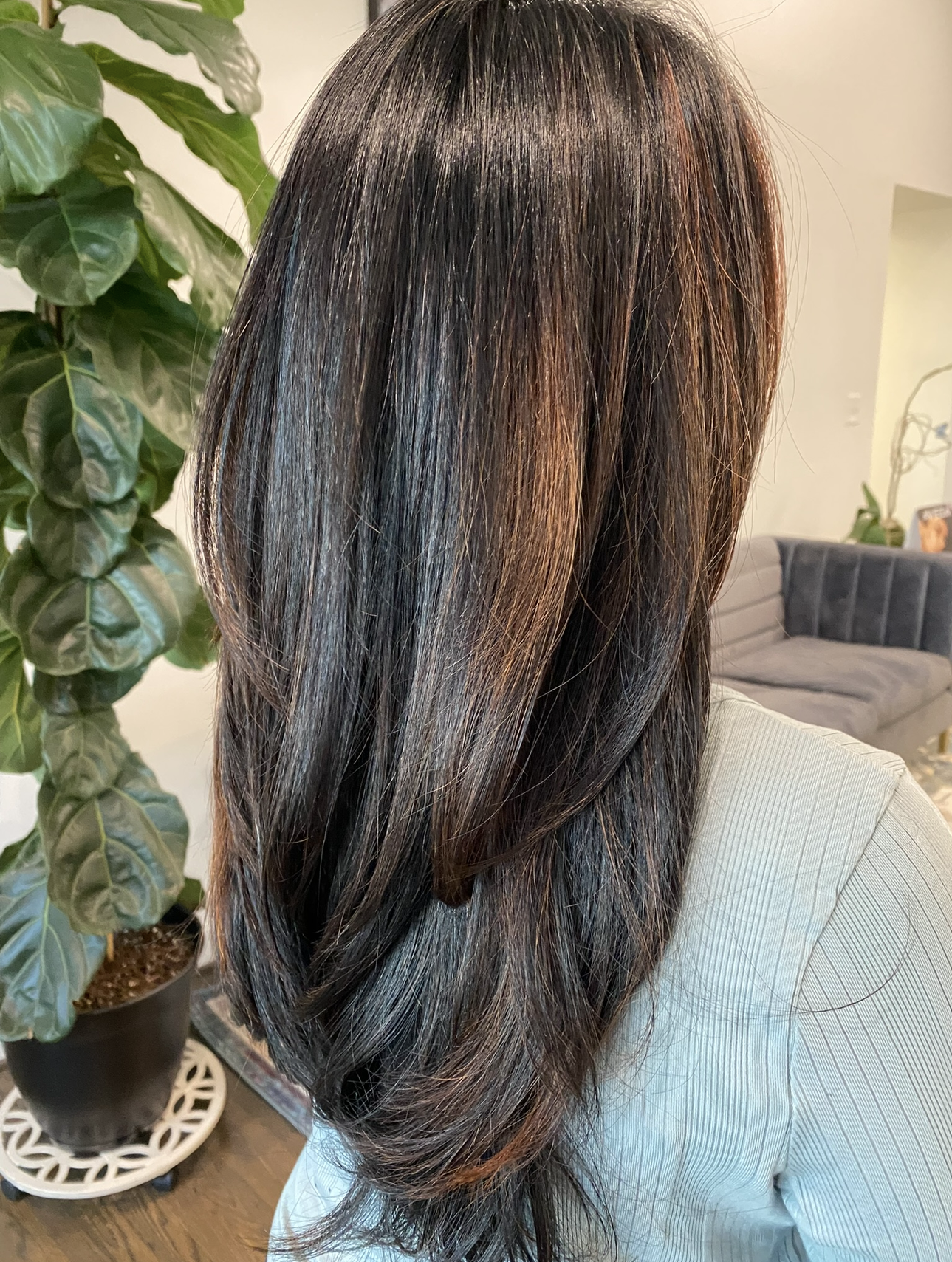 Women's Cut.png