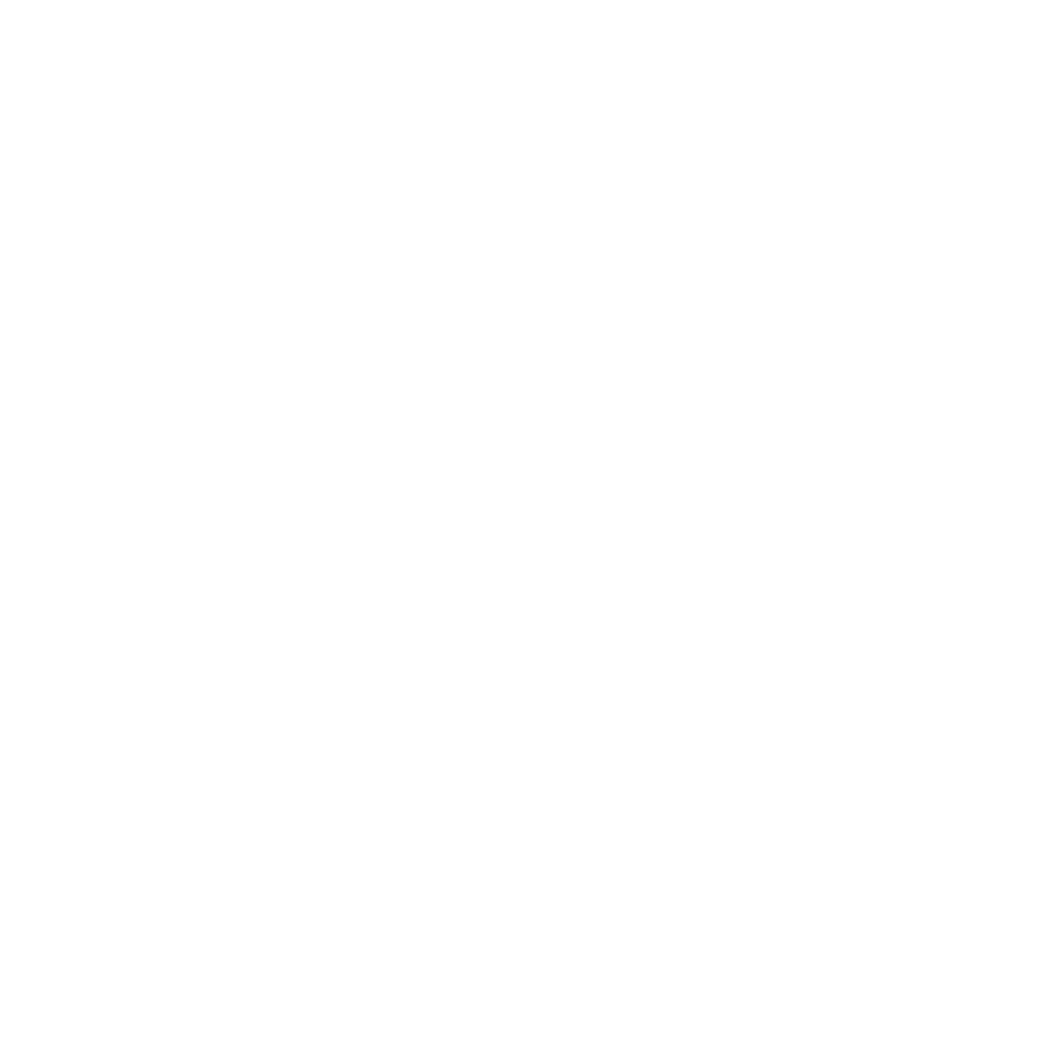 Brazen Hair Co.