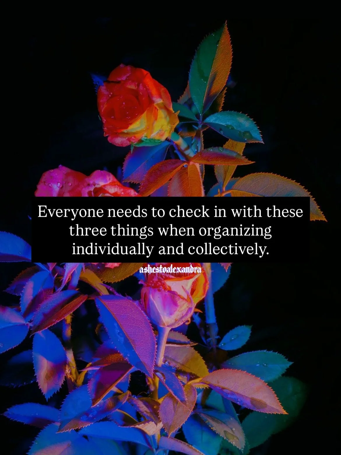 A way to add care &amp; awareness in your advocacy:

Everyone needs to understand these things when organizing individually or collectively.

Our intention &gt; our actions &gt; our impact.

Well meaning intentions don&rsquo;t necessarily equal desir