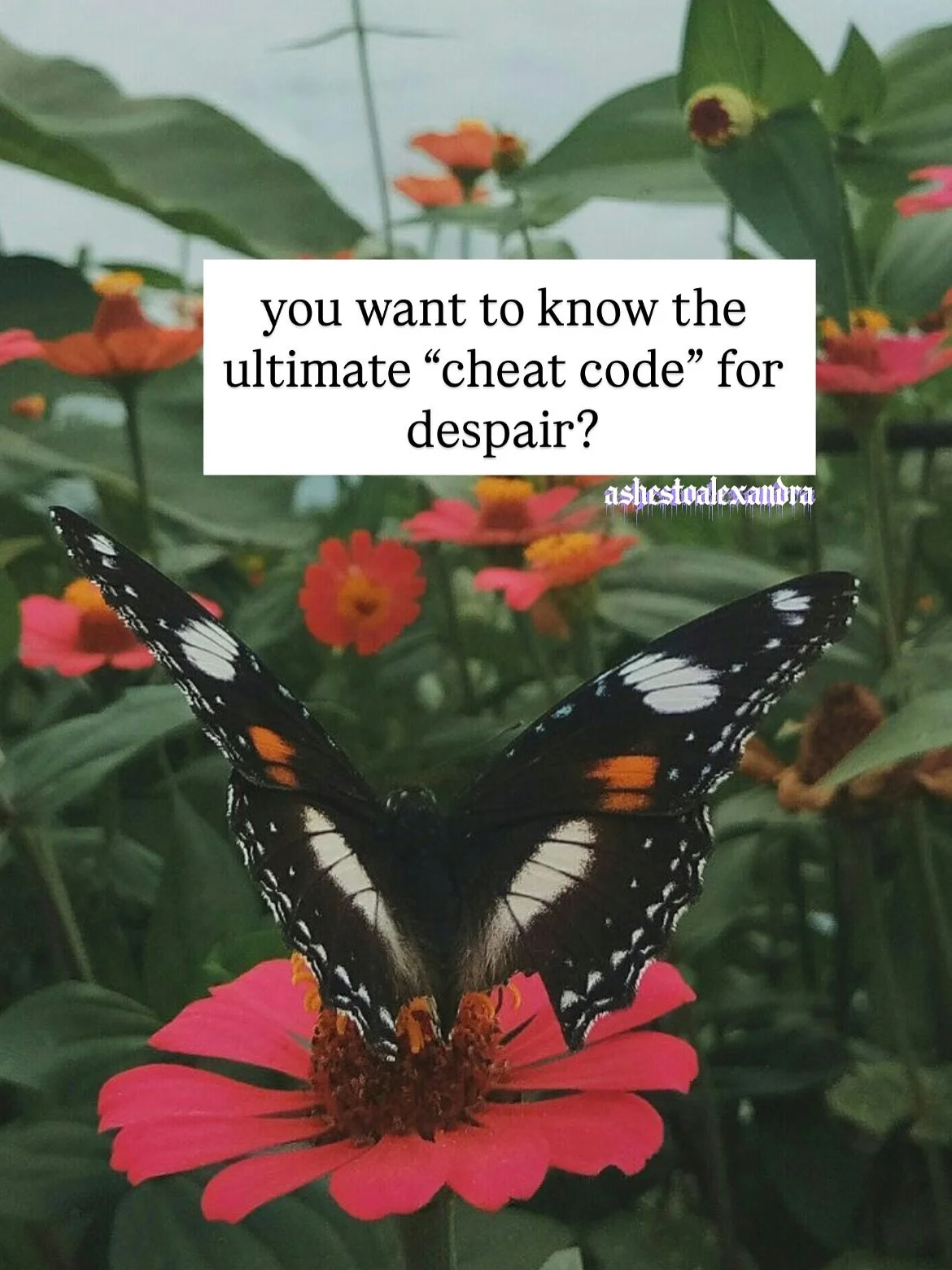 I know the lows are dark. Root into your humanness and your Divinity. Connect to your power within. Create ritual, o please grieve and pray out loud.

#seva #communitysupport #transformativejustice #abolitionist #caregiving #griefsupport #somaticcare