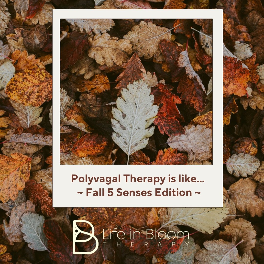 It&rsquo;s still fall over here at Life in Bloom. 🍂🍁

And we believe that fall is such a great season to notice the world through your 5 senses. In mental health language, Polyvagal Therapy helps us with connection, joy, curiosity, and safety. 

Ta