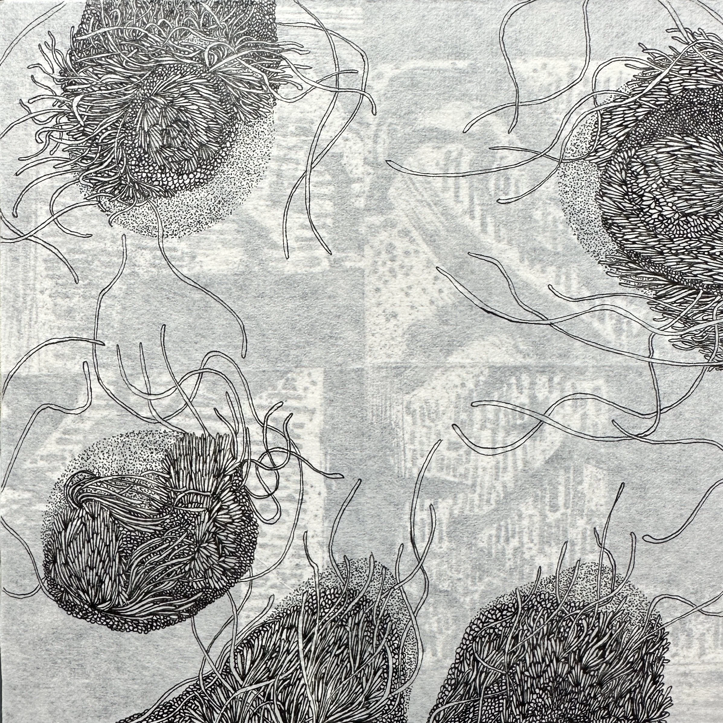 NEBULUM SEEDS IV