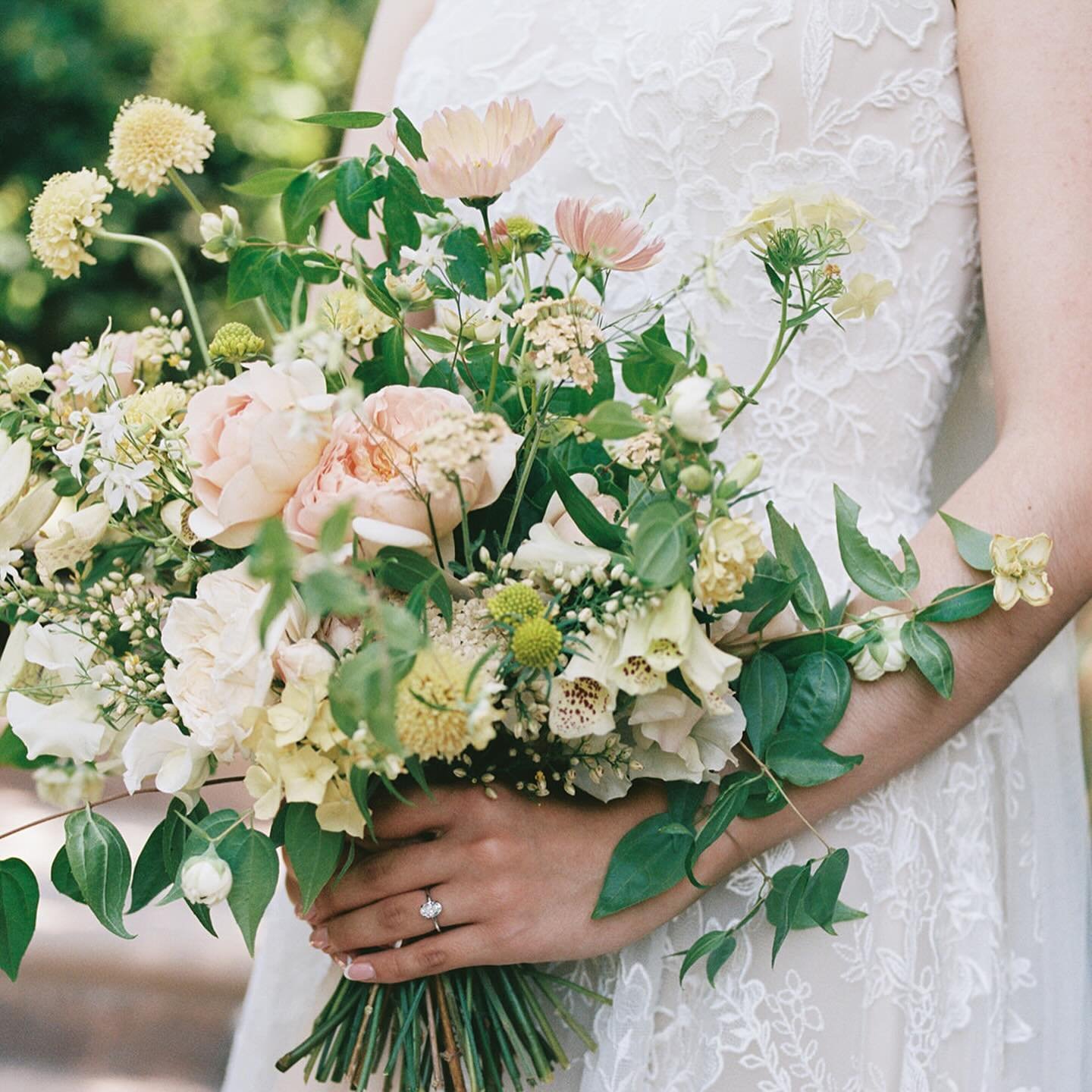 Which flowers transport you? I clipped my first bud of mock orange this morning and it immediately made me think of last year&rsquo;s sweet bride, Elizabeth. Her bouquet was one of my favorites, filled with so many late spring treasures from the farm