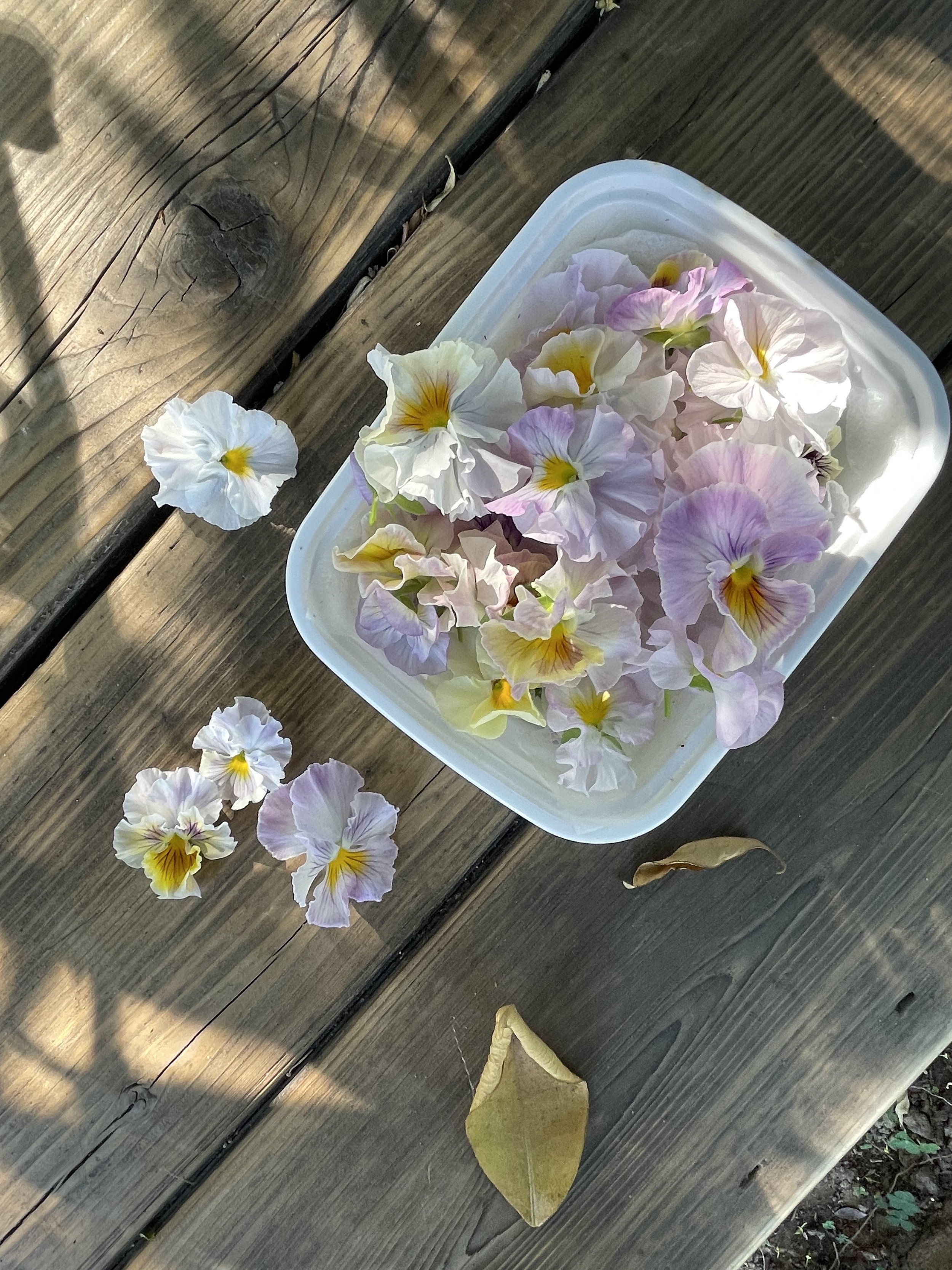 Edible Flowers