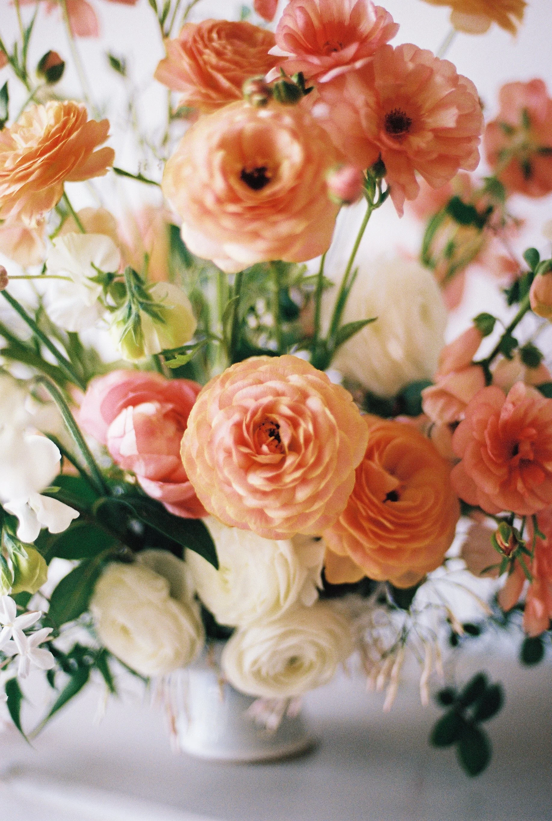 Photo Apr 16 2024, 4 25 10 PM (2) (1).jpg