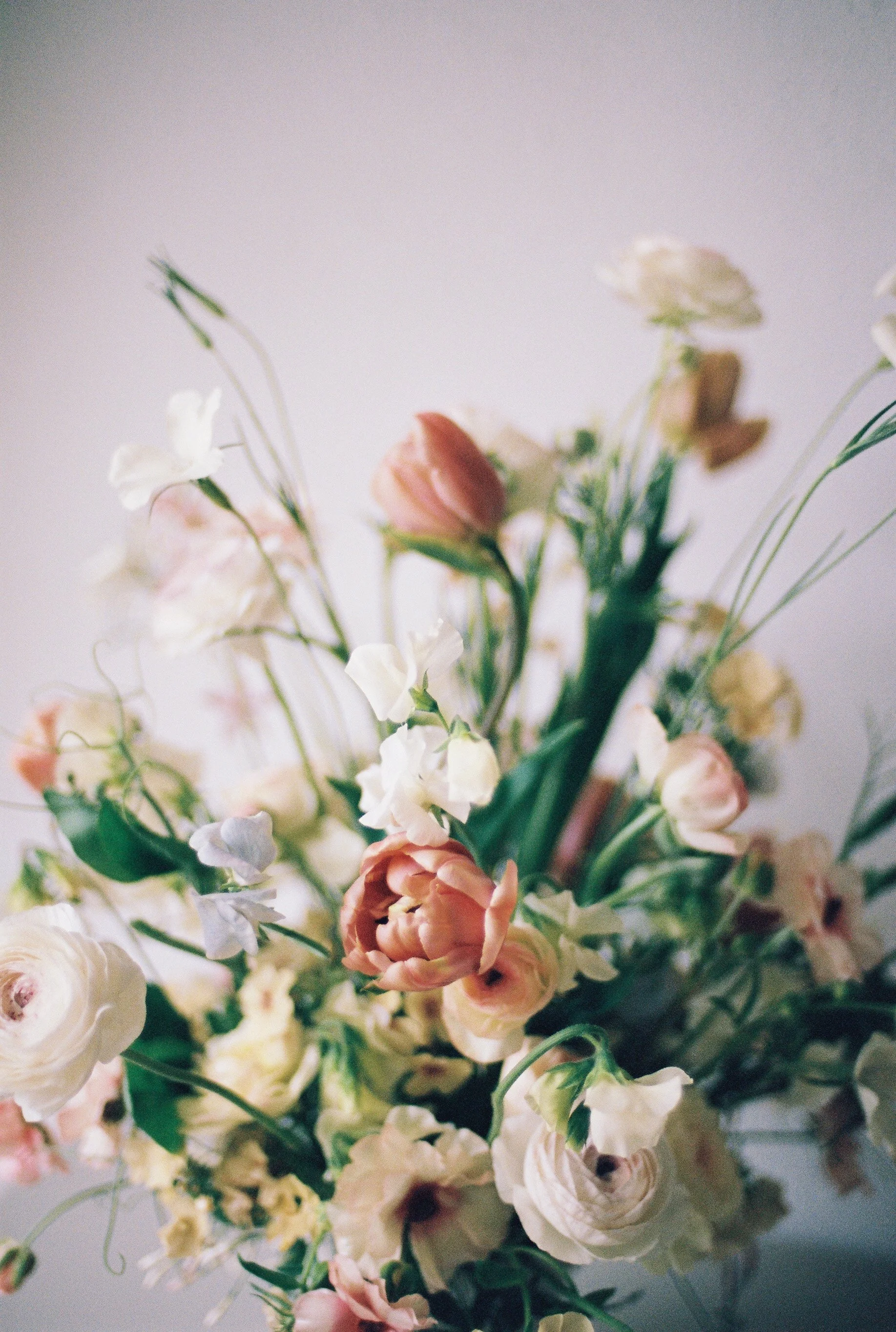 Photo Apr 16 2024, 4 25 10 PM (1).jpg