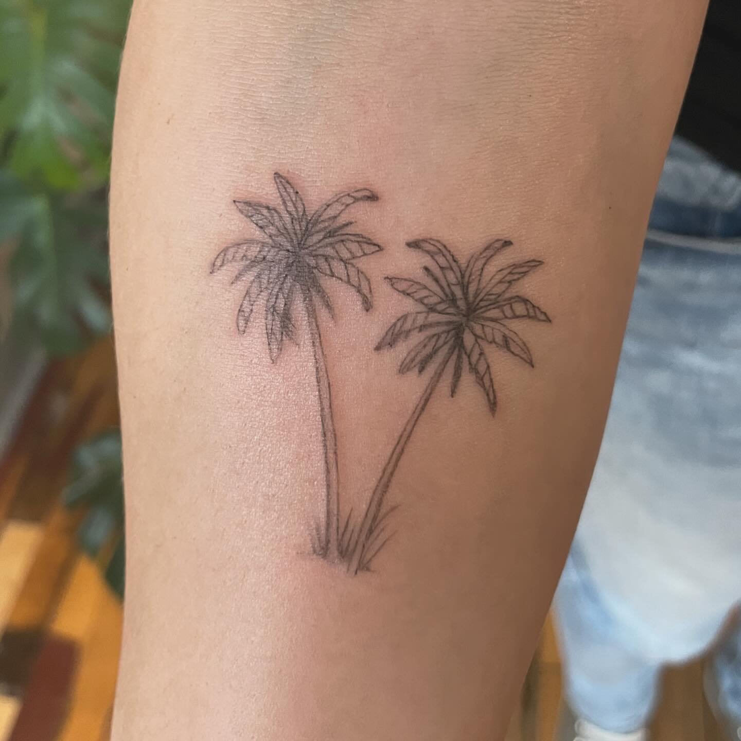 got to design and tattoo some sweet little palm trees for my sister in law and her bestie this weekend 💕🌴🌴🥰
.
.
.
.
#🌴 #customtattoo #tattooartist #tattoos #tattooapprentice #tattooapprenticeship #tattoostyle #friendshiptattoo #palmtreetattoo #l