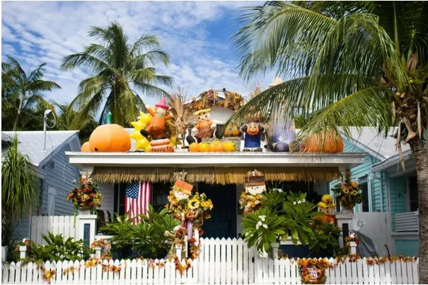 🎃Island Nights, Frights, and Family Fun &mdash; Halloween Events You&rsquo;ll Love!👻⁠
⁠
Fall on the Paradise Coast means cool breezes, pumpkin lights, and plenty of reasons to celebrate. Explore this season&rsquo;s best Halloween events &mdash; fro