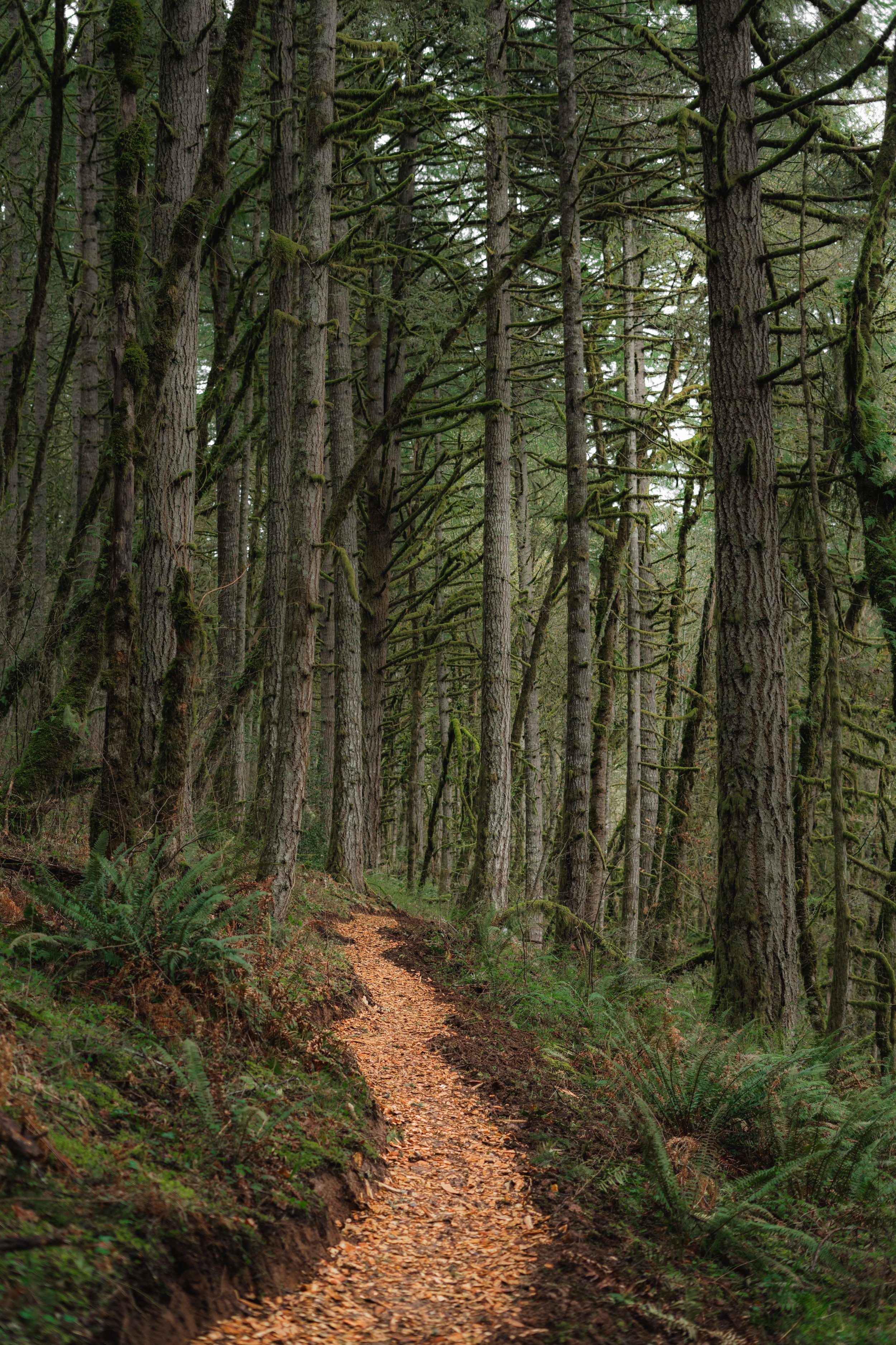 Outdoor Recreation