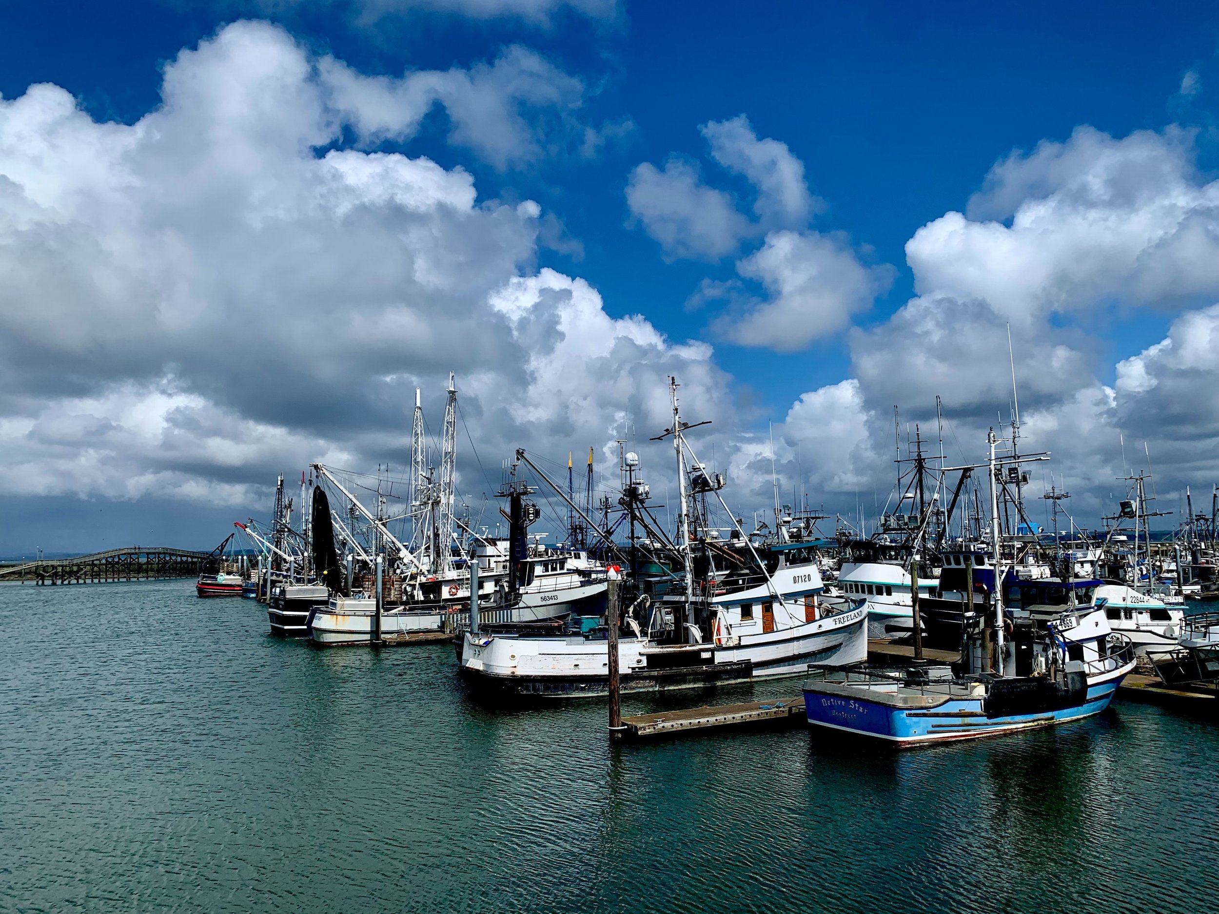 Marine/Coastal Issues
