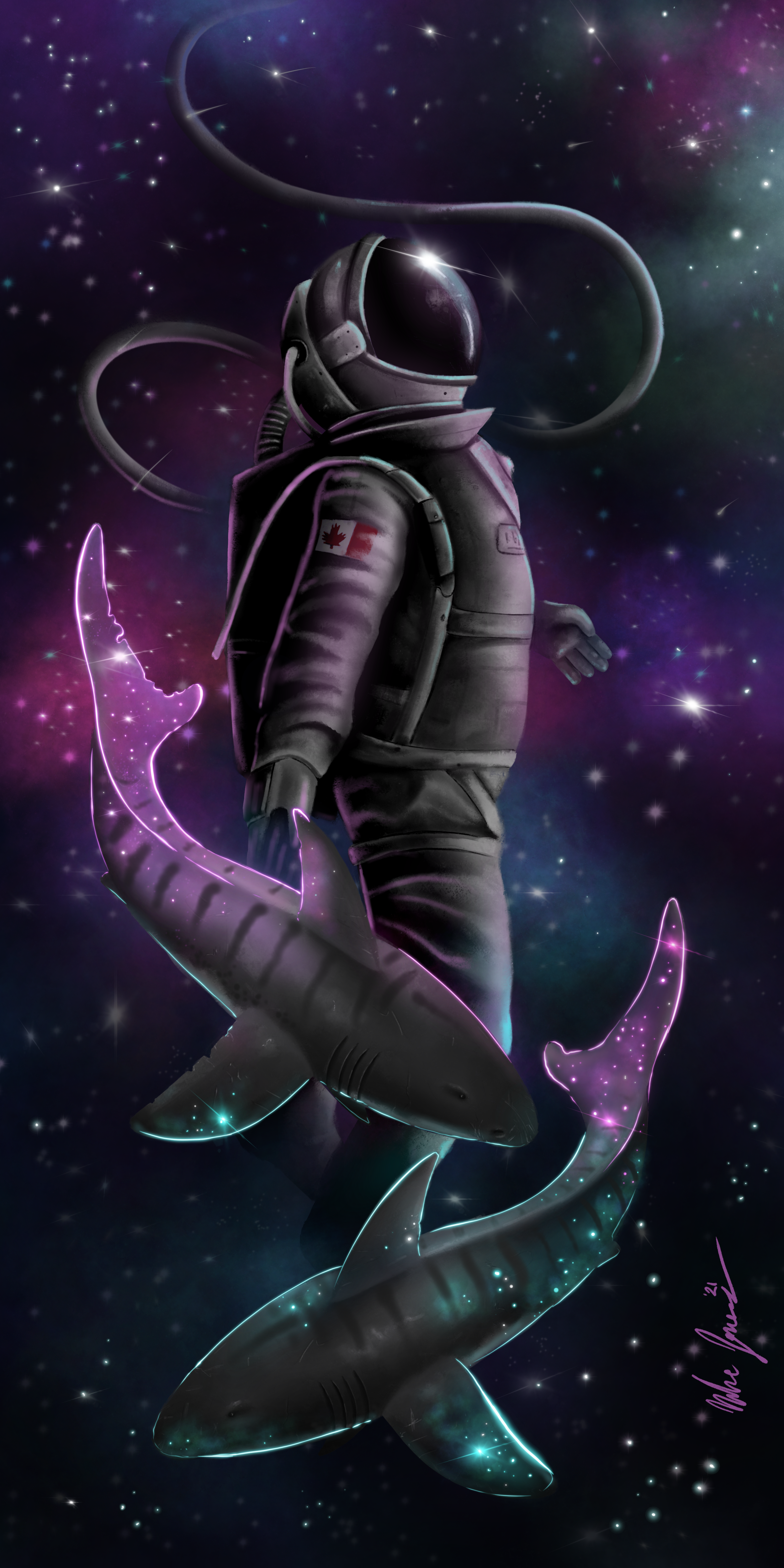 sorta compressed.png