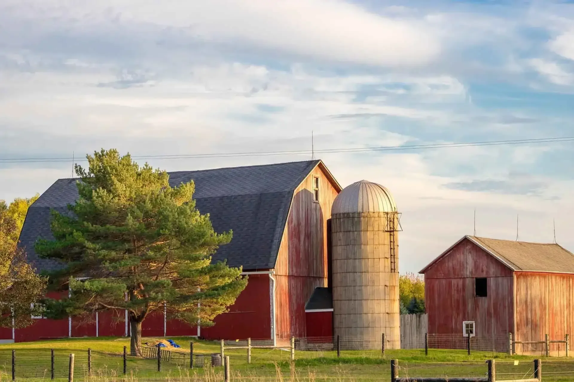 Silo vs Grain Bin: What Should You Go For?