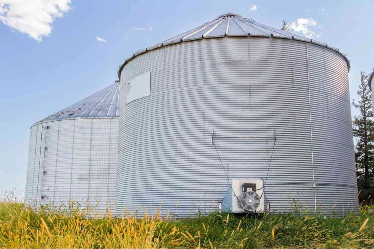 How To Get Rid Of Bugs In Grain Bins And Prevent Reinfestation