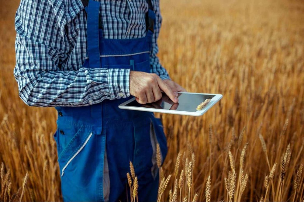 How To Get Rid Of Bugs In Grain Bins